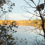 carol-fall-on-the-lake